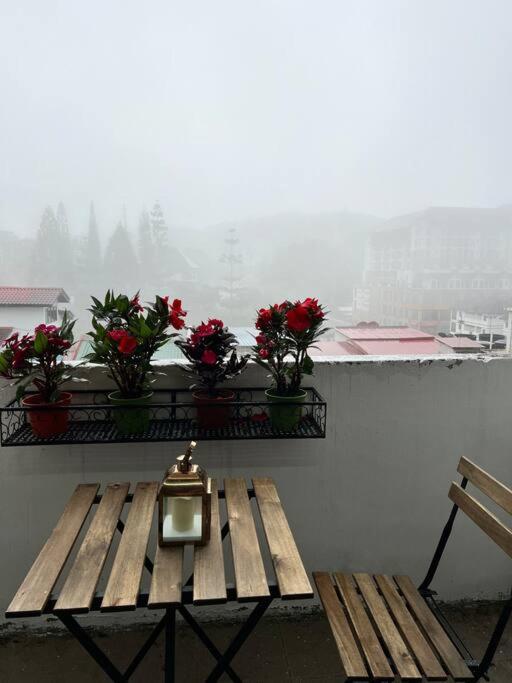 Lily Maison Apartment Tanah Rata Luaran gambar